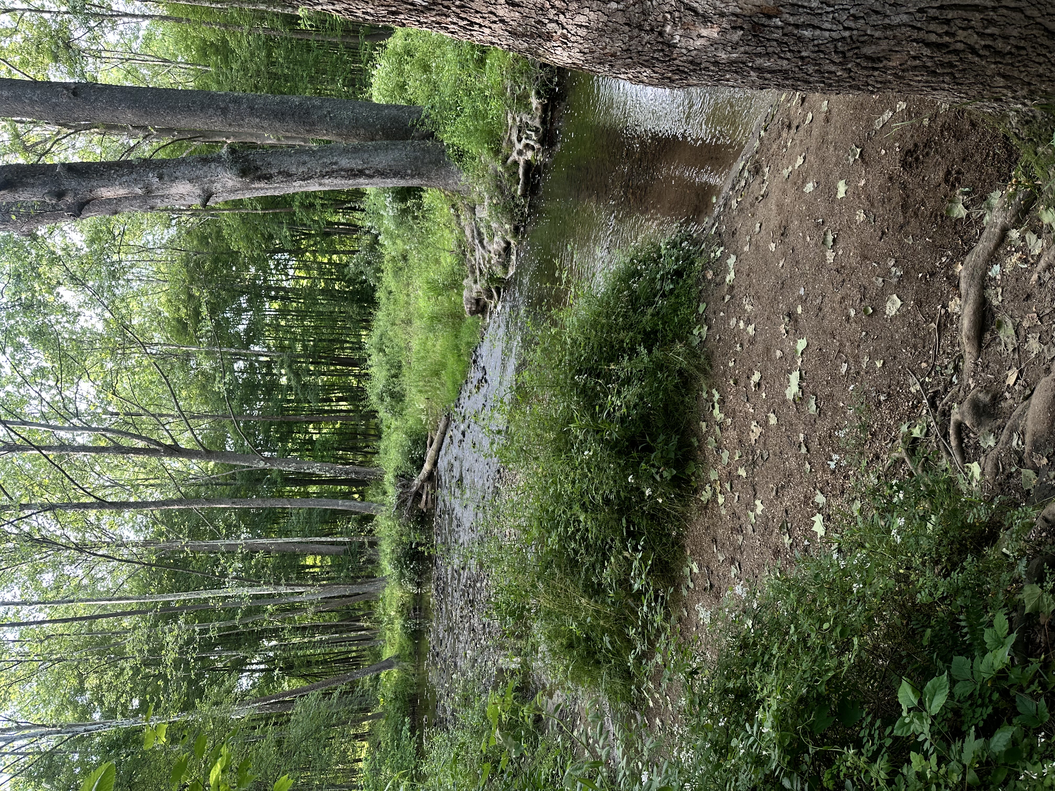 I love hiking! :)